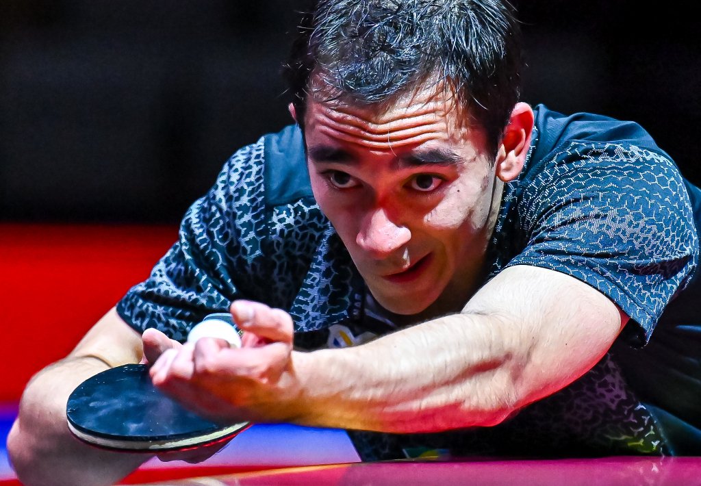 广泛称赞 广泛称赞